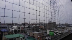 【お題日記】普段なかなか言えないネガティブなこと