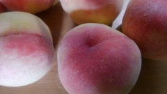 【お題日記】ネットの質問サイト利用したことある？