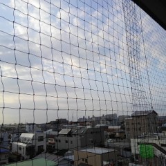 【お題日記】やんわり断るコツ