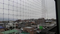 【お題日記】最近気になったニュース