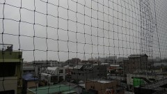 【お題日記】痩せたい・痩せようの決意表明をどうぞ