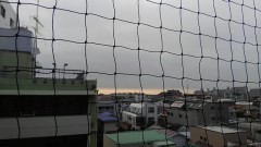 【お題日記】七夕の願い事はしましたか？叶いましたか？