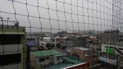 【お題日記】オススメの冷たい食べ物を教えてください！