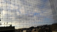 【お題日記】通勤・通学中にひと目惚れありますか？