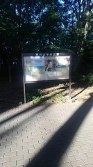 【お題日記】最近みた夢を教えてください！