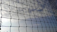 【お題日記】好きなアナウンサーはいますか？