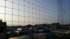 【お題日記】夏休みの予定は？