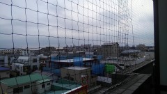 【お題日記】大ケガしたことある？