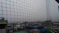 【お題日記】我が家(実家)のカレー自慢！