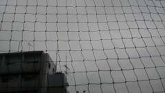 【お題日記】あと1週間で8月が終わります