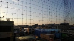 【お題日記】ランキングは参考にしますか？