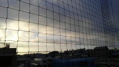 【お題日記】今使ってる携帯電話の機種は？