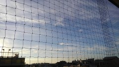 【お題日記】今とにかく欲しい物