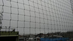 【お題日記】お金が無い時に作る料理