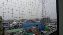 【お題日記】夜の運動してますか？