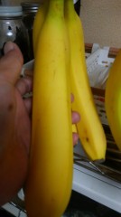 【お題日記】特技はありますか？