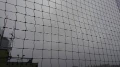 【お題日記】今日はバスの日 バスには良く乗る？