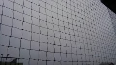 【お題日記】畳とフローリング どっちが好き？