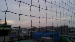 【お題日記】ときどき無性に食べたくなる食べ物