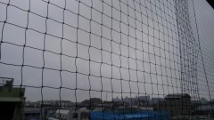 【お題日記】何系の映画が好き？