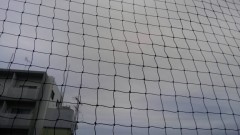 【お題日記】いつか住みたいと思う所