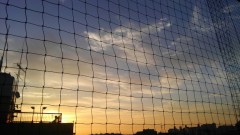 【お題日記】デジで「いいな」と思ったプロフィール