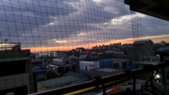 【お題日記】今日は何をして過ごす？