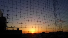 【お題日記】バンドやるとしたら何担当したい？