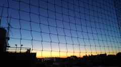 【お題日記】流行語大賞2016