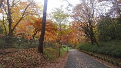 【お題日記】今までで一番印象的だった流行は？