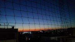 【お題日記】異性に歌ってもらうとキュンとする曲