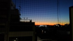 【お題日記】スケジュールの管理は手帳？ スマホ？