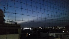 【お題日記】愛犬家に話題の「しまホイ」知ってる？