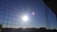 【お題日記】クリスマスイブ誰と過ごしますか!?