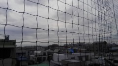 【お題日記】映画館では手をつなぐ？