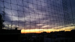 【お題日記】冬の晴天日の使い方