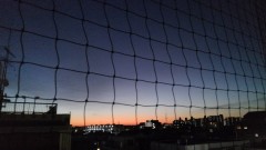 【お題日記】喉が痛い時の対処法は？