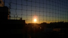 【お題日記】暇なとき、一番最初に何をする？