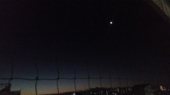 【お題日記】どっちがいい？大勢の友達か一人の親友