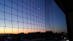 【お題日記】告白されたことありますか？