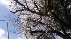 【お題日記】職業病を実感するあなたの行動