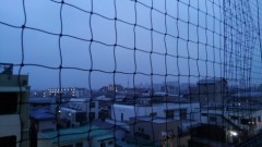 【お題日記】ワクワクする異性の仕草は