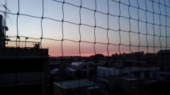 【お題日記】ひな祭りあるある