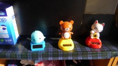 【お題日記】自分成長してるな～と思うこと