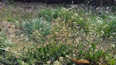 【お題日記】イメージと違う！と思った実写化作品