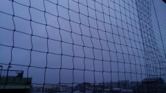 【お題日記】一番長い片思いはどれぐらい？