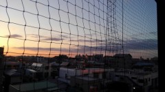 【お題日記】パクチー好き？嫌い？