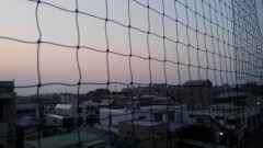 【お題日記】あなたにとって恋とは？