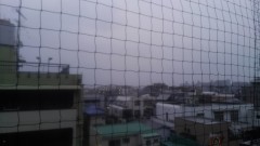 【お題日記】一戸建て派？マンション派？