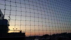 【お題日記】デジログ投稿のこだわり